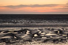 Mudflats at sunset over The Wash Estuary, Norfolk. Credit: Nature Picture Library