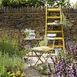 herb garden with yellow ladder