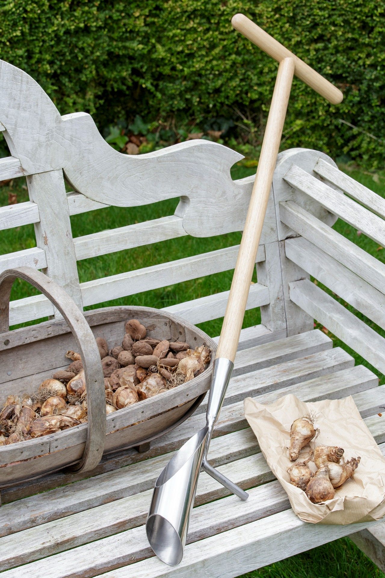 How to stop squirrels digging up bulbs Real Homes