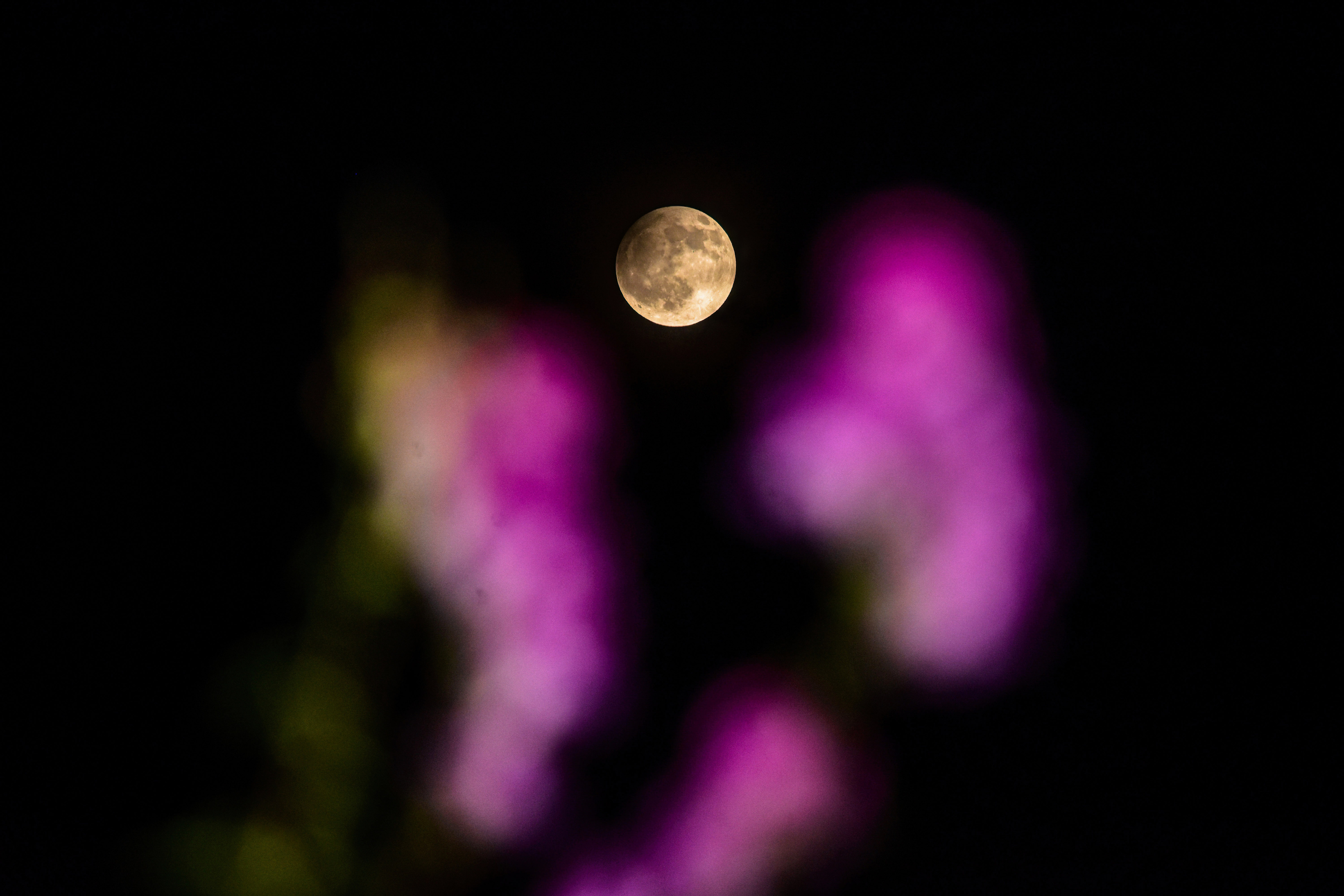 A full moon in the sky, darkened by a marginal penumbral lunar eclipse