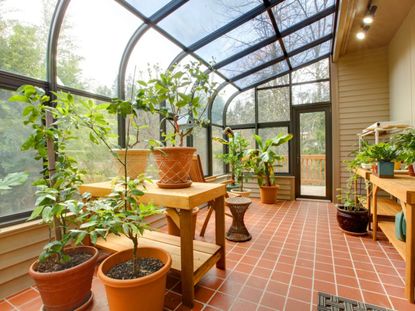 Lean-To Greenhouse Full Of Plants