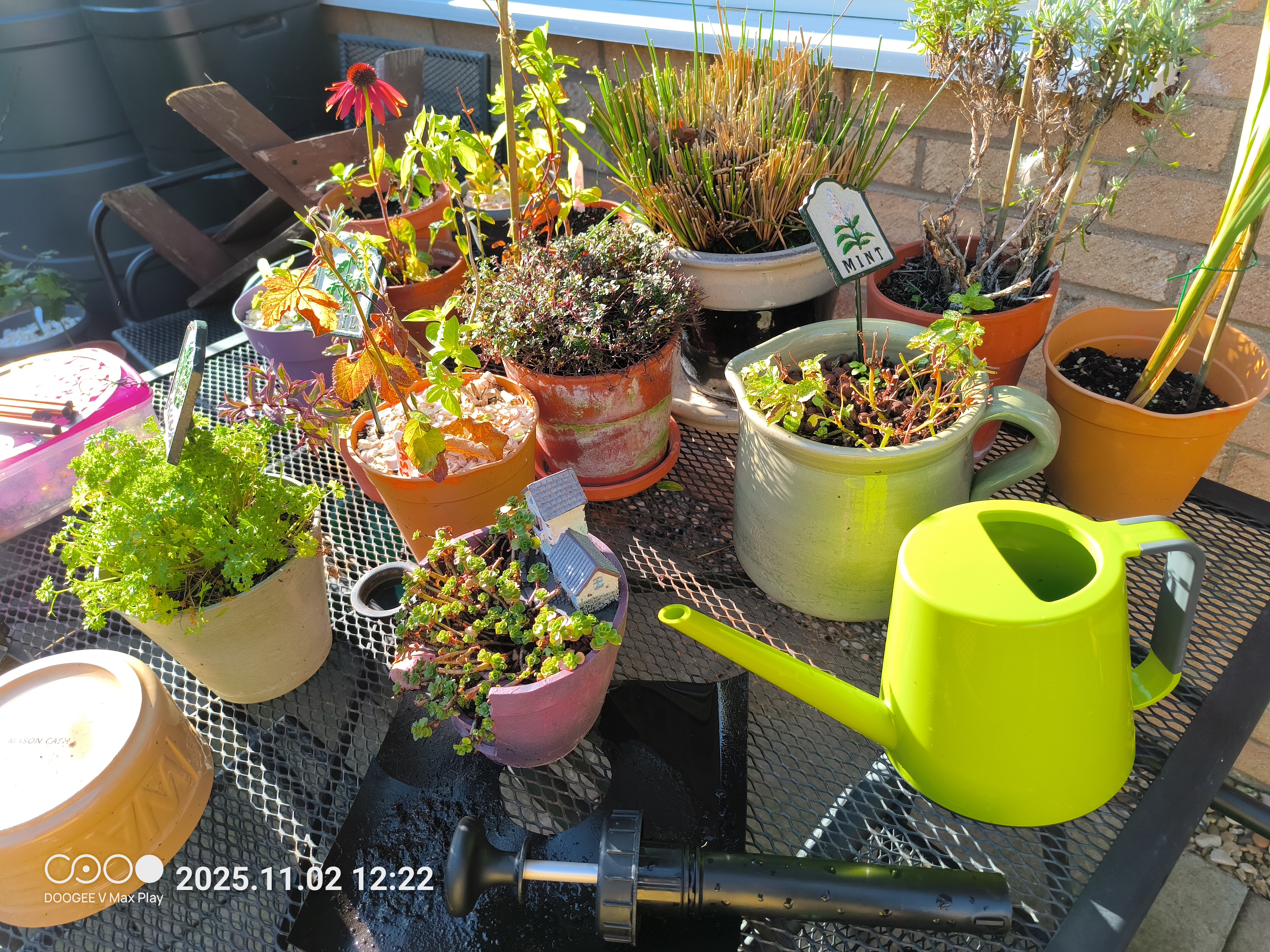 Doogee V Max Play Example images