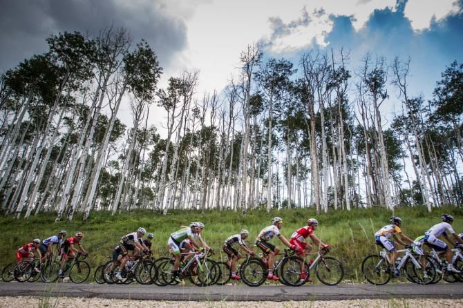 The field climbed high during todays stage