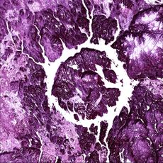 earth as art