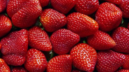 Natural foods, Strawberry, Strawberries, Fruit, Food, Frutti di bosco, Local food, Accessory fruit, Seedless fruit, Berry, 
