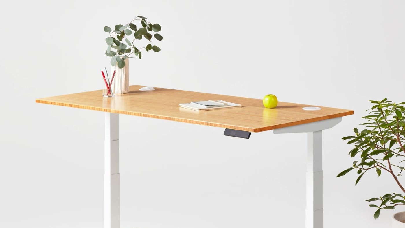 Standing desk 2024 bamboo top