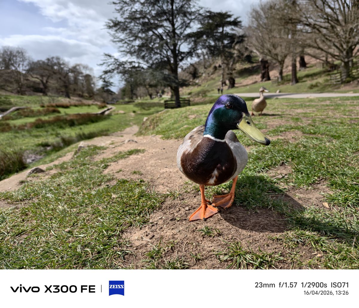 Photo samples from the Vivo X300 FE phone