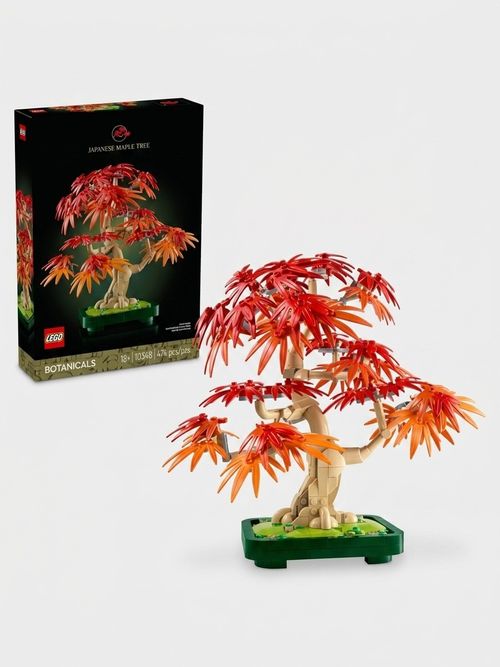 Botanicals Japanese Red Maple Bonsai Tree