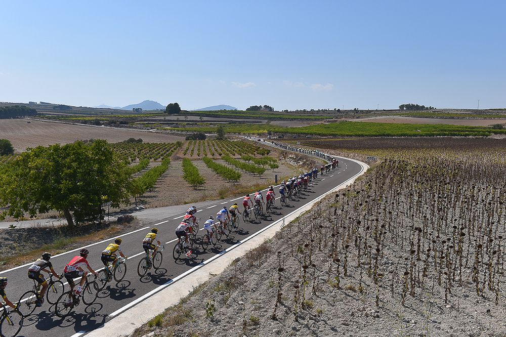 The peloton passes a vineyard during stage 18 in Spain.