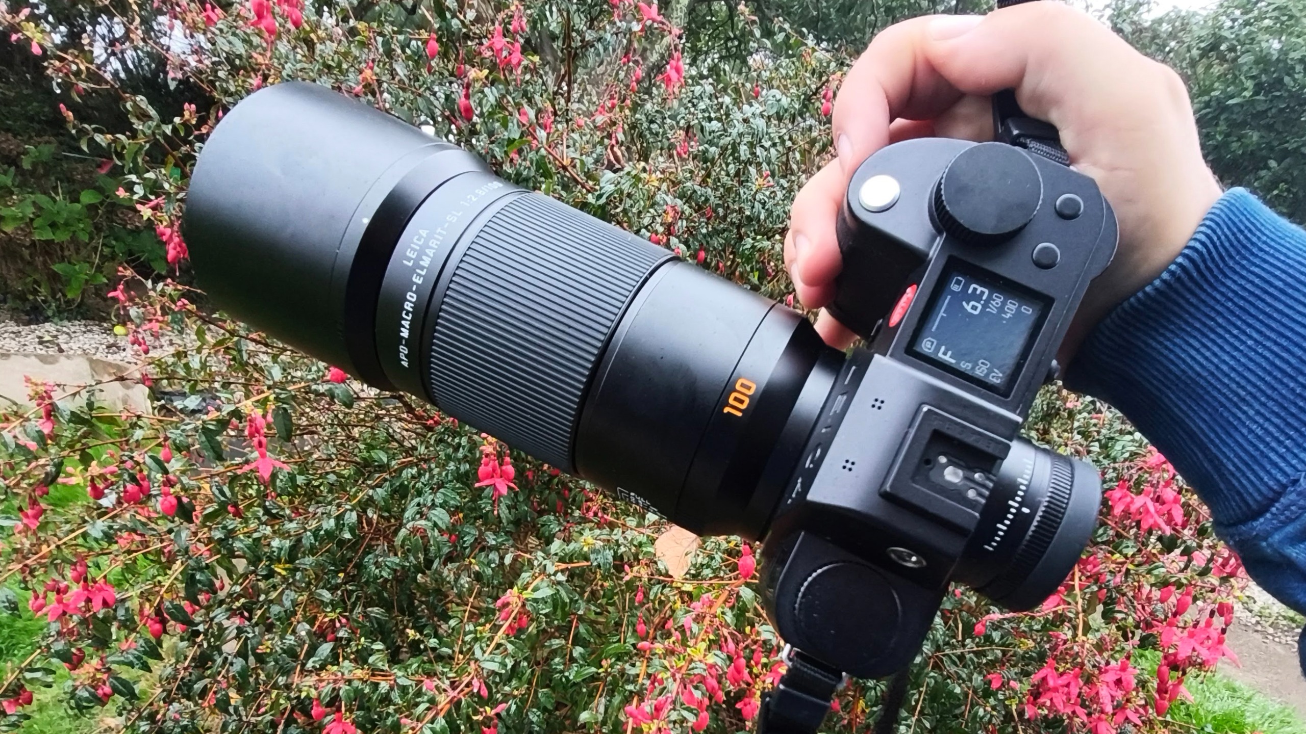 Leica APO-Macro-Elmarit-SL 100 f/2.8