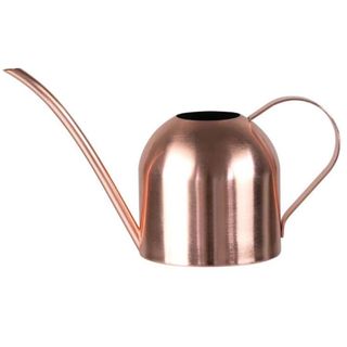 Rose gold watering can
