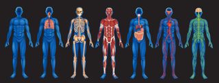 Lustracja przedstawiająca różne układy ludzkiego ciała.