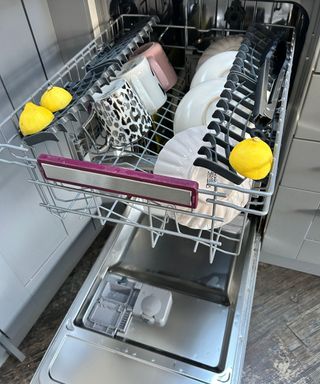 Three lemon halves on the top shelf of an open dishwasher with plates and dishes inside