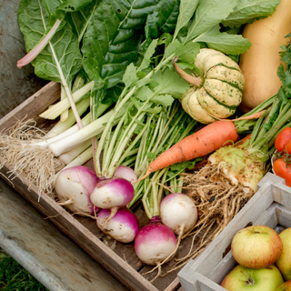 Freshly harvested vegetables in a wooden crate including turnips, carrots, leeks and squashes