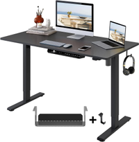 Flexispot Essential standing desk