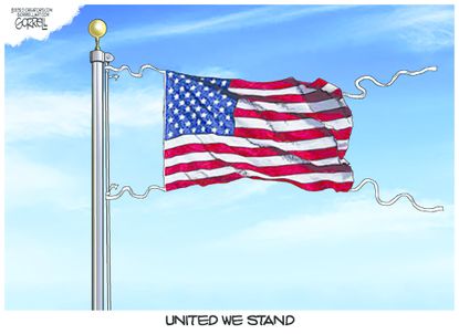 Editorial Cartoon U.S. united we stand coronavirus