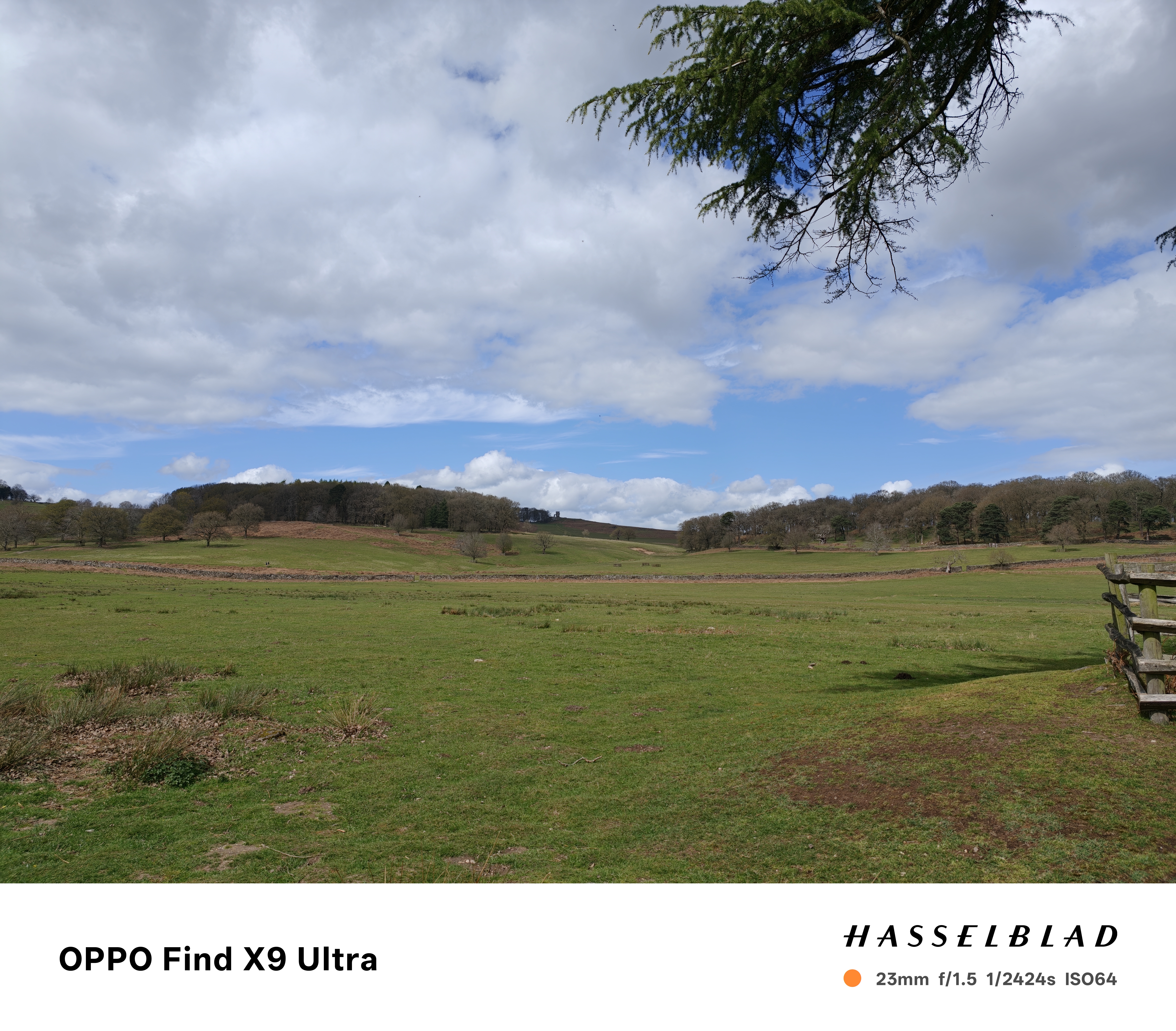 Oppo Find X9 Ultra Sample Photo