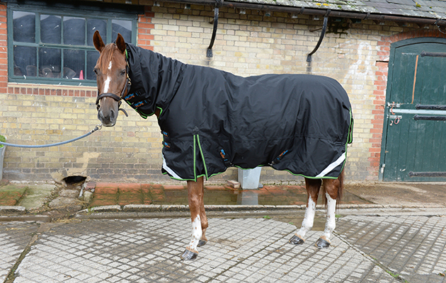 Review of Turn-out rugs; Rug No7, Limited Edition Premier Equine Cellular Zone 450, at Wild Farm Equestrian, near Watford in Hertfordshire, UK on 1st September 2015