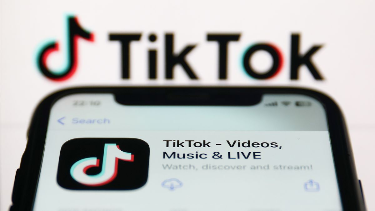 5 Things You Need to Know About TikTok - PADI Pros