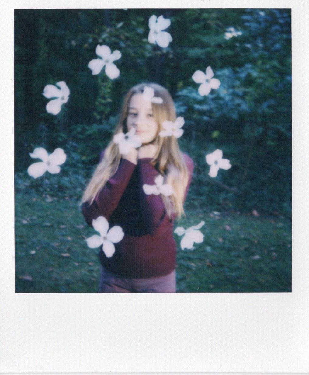 Image sample from the Polaroid Mod