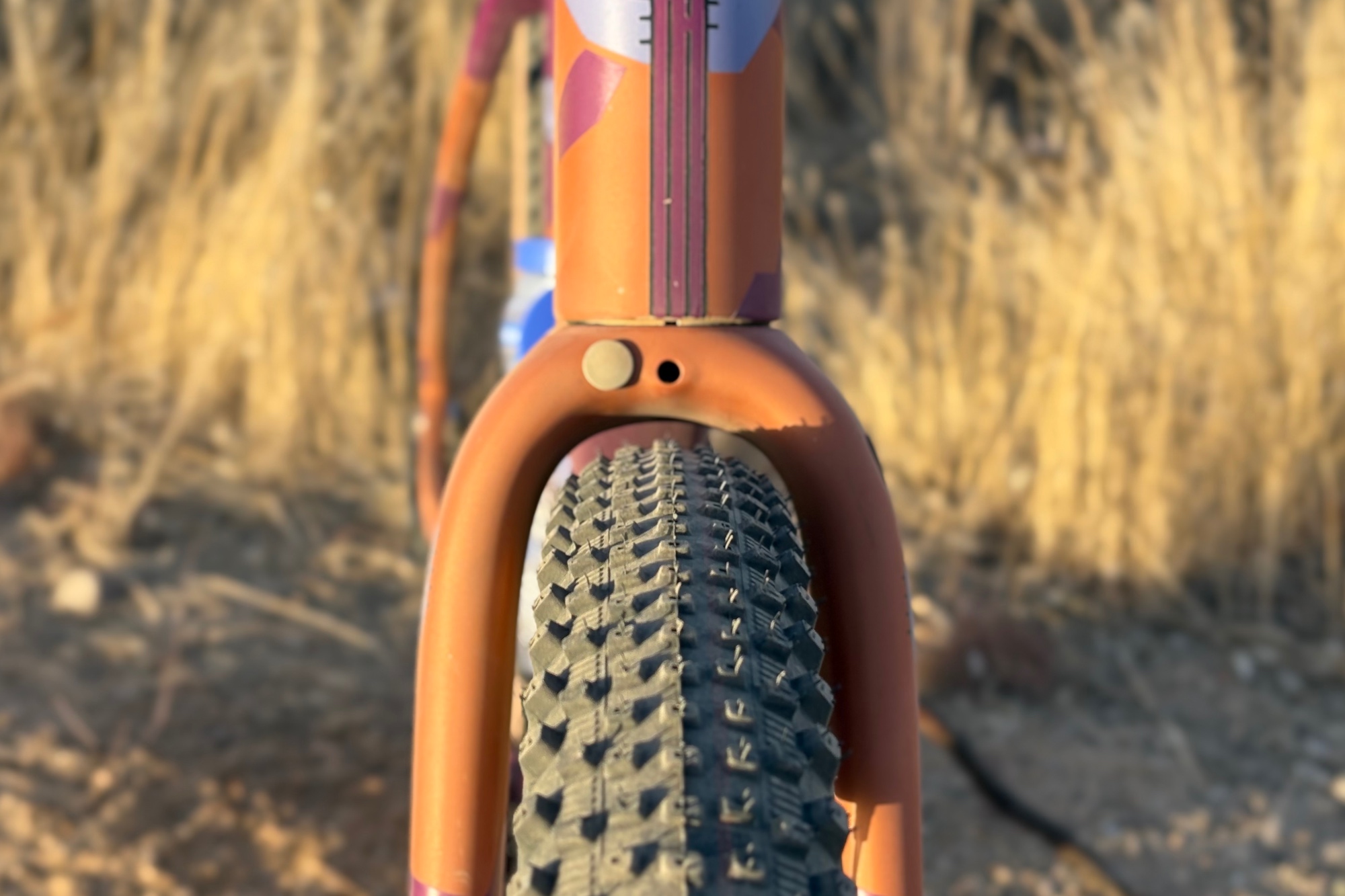 MTB tyres for gravel: Schwalbe Rick