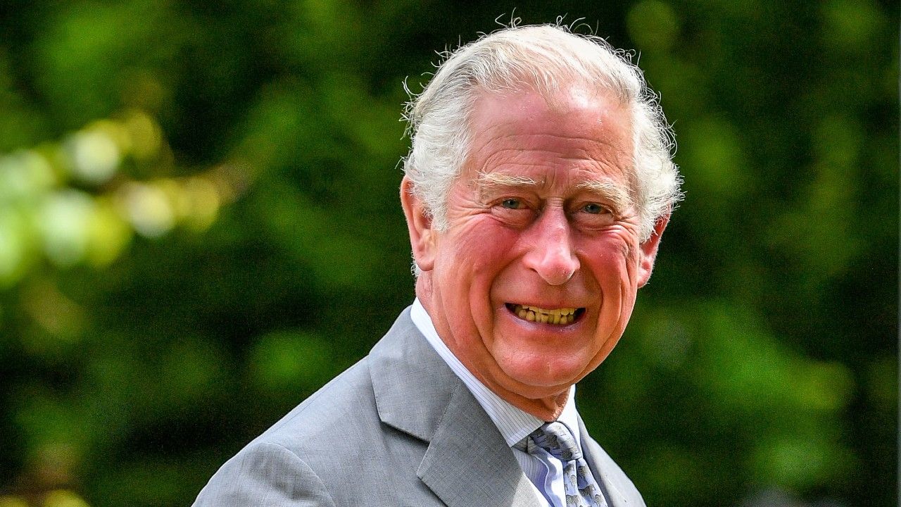 Prince Charles smiles at crowds of hospital staff watching from a distance