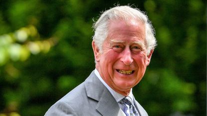 Prince Charles smiles at crowds of hospital staff watching from a distance