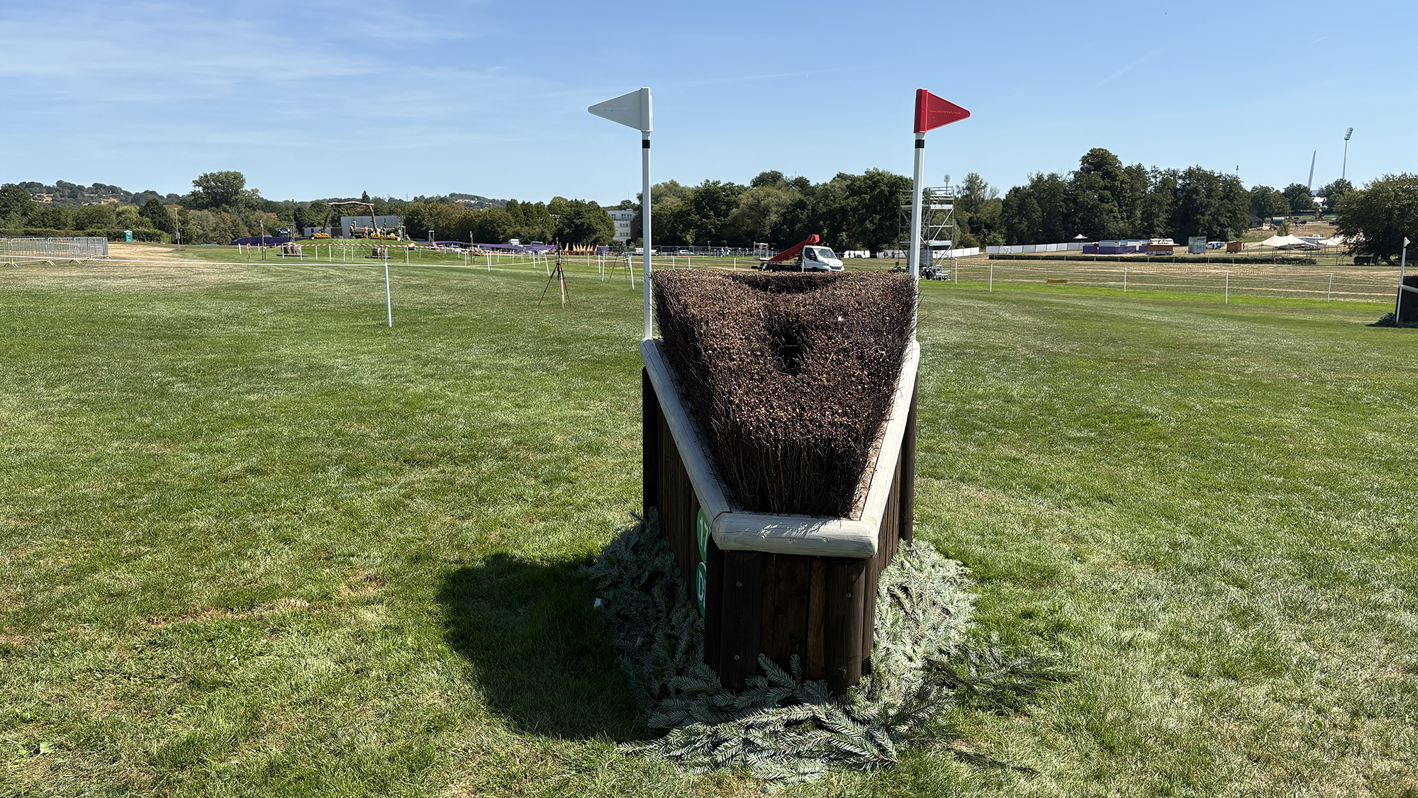 A skinny brush fence on the eventing World Championships cross-country course