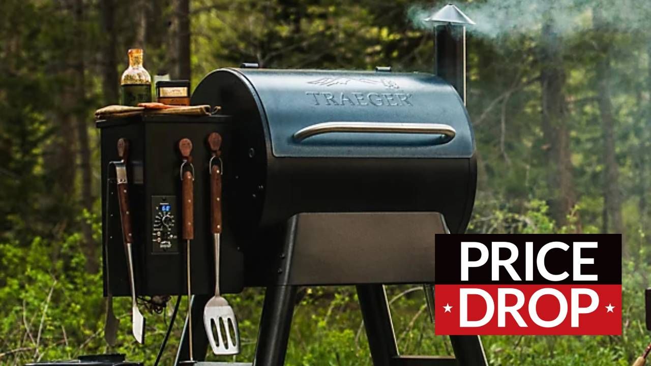 Traeger Black Pro Series 22 Wood Pellet Grill and Smoker