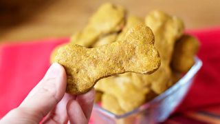 Pumpkin dog treats, one of the best diabetic dog treat recipes