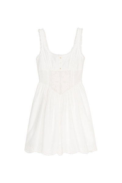 ZARA, Lace Embroidered Mini Dress
