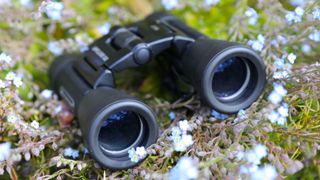 Celestron UpClose G2 16x32 binoculars