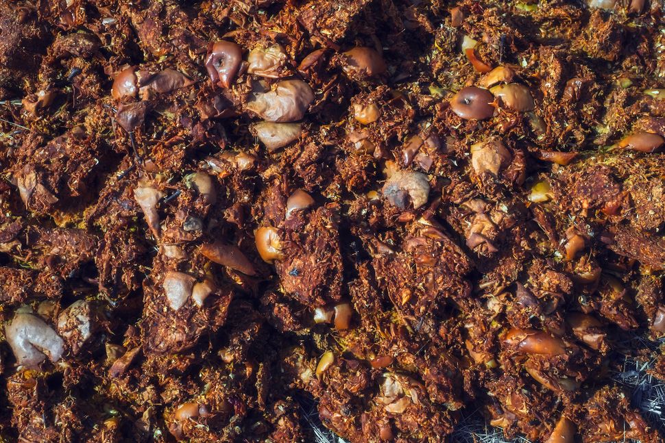 The Science Behind Composting Live Science