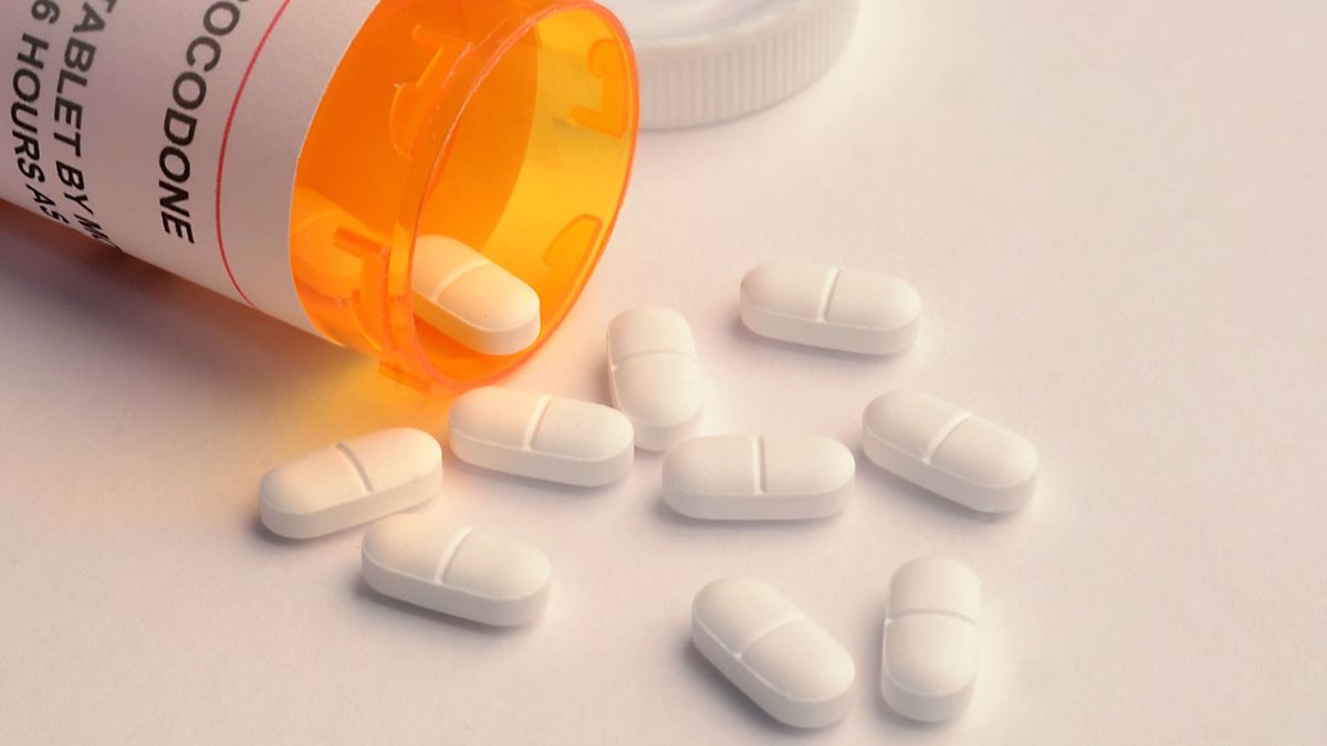 close up of white tablets spilling out of an orange pill bottle; part of the bottle&#039;s label can be seen and reads &quot;codone,&quot; the second half of the word &quot;Hydrocodone&quot;