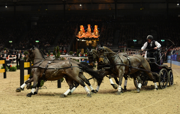 ExellB_Olympia14pn_57966.jpg