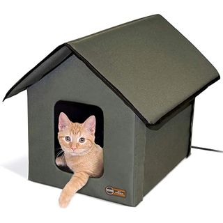 Cat sitting in K&H Pet Products Outdoor Heated Cat House