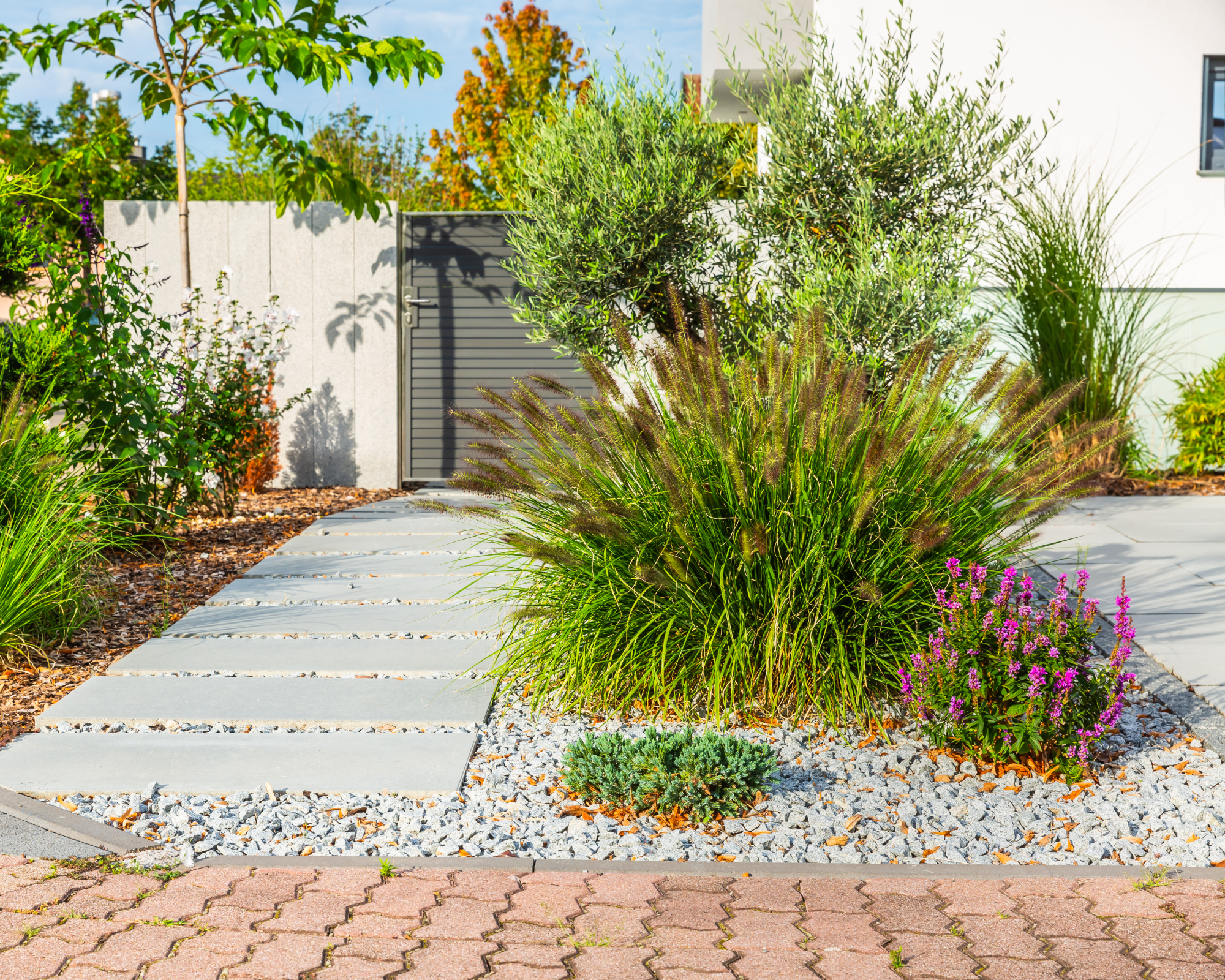 Gravel lawn with stepping stones and low-maintenance ornamental grass and plants
