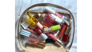 Image showing makeup bag containing the products tested for this feature to find the best lip oils