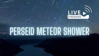 large neon blue letters read " perseid meteor shower" in the top right corner a vector graphic reading "live streaming" and in the background a Perseid meteor shower against a starry sky.