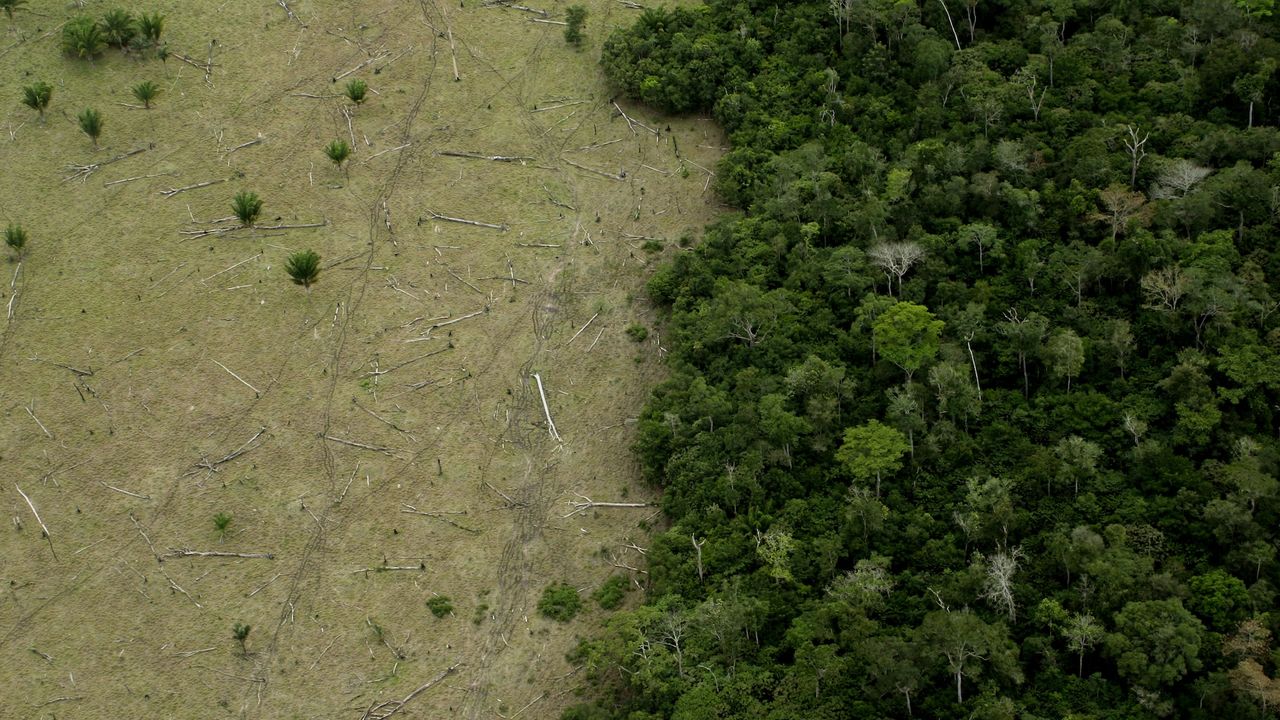 Amazon rainforest is approaching 'tipping points' that could transform it into a drier savanna