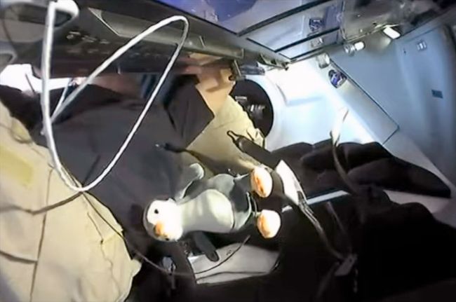 'GuinGuin,' the flying penguin, revealed as SpaceX Crew-2 zero-g ...