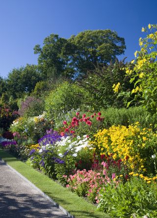 colourful garden