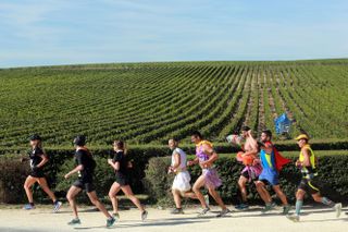 Athletes run past vineyards near Pauillac, during the Marathon du Medoc.