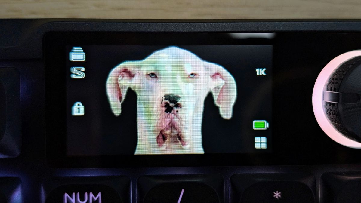 Corsair Vanguard Air 99 Wireless showing customizable screen