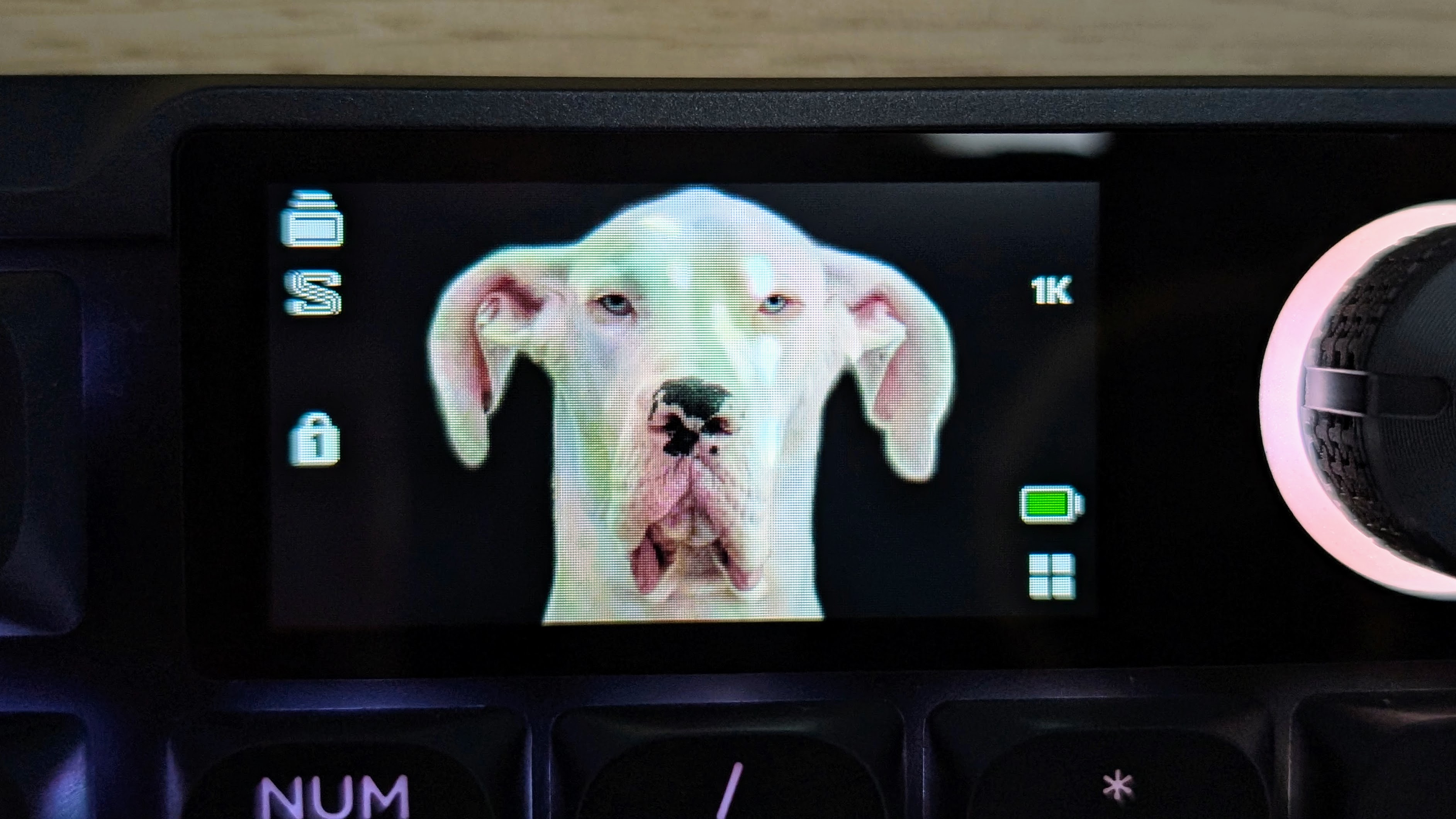Corsair Vanguard Air 99 Wireless showing customizable screen