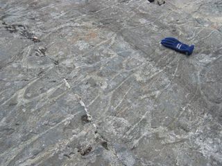 A trace of the oldest oceans: pillow lavas that are 3.8 billion years old (Greenland).