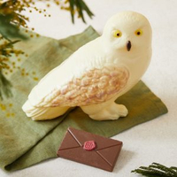 M&amp;S White Chocolate Hedwig - £15Die hard Potter fans are in for a treat this Easter thanks to M&amp;S. This hand decorated white chocolate Hedwig owl bares an incredible likeness and comes with a milk chocolate letter to Hogwarts!