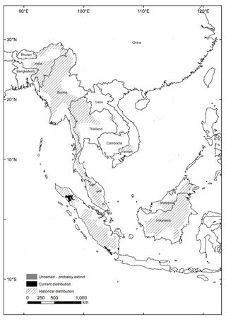 The Sumatran rhino had its range across most of South-east Asia (lined areas). Today it only lives in the wild in Indonesia (black areas).