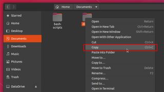 Copying A Directory On Linux Desktop Environments