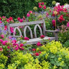 old fashioned garden with roses and a bench